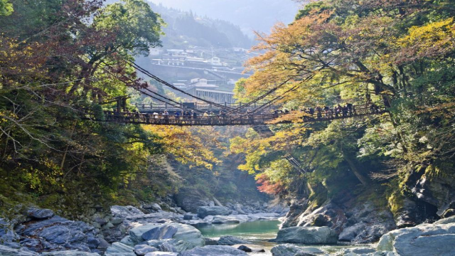 Wisata Tersembunyi di Jepang yang Jarang Diketahui, Simak - Jepang, sebuah negara yang dikenal dengan budaya yang kaya dan lanskap